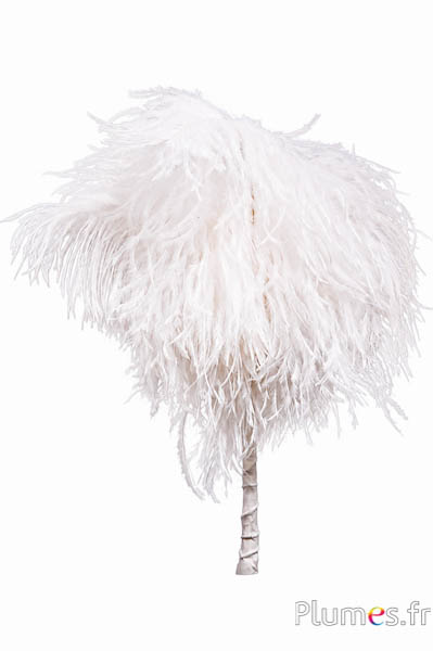 Pennacchio struzzo - 8 piume, altezza 25 cm - bianco-crema